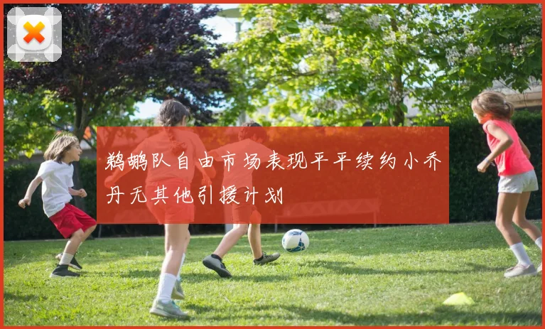 鹈鹕队自由市场表现平平续约小乔丹无其他引援计划