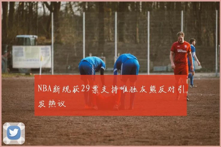 NBA新规获29票支持唯独灰熊反对引发热议